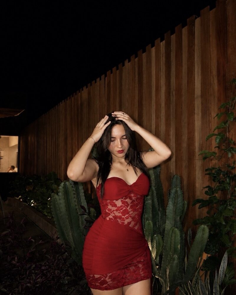 Dress Nailea